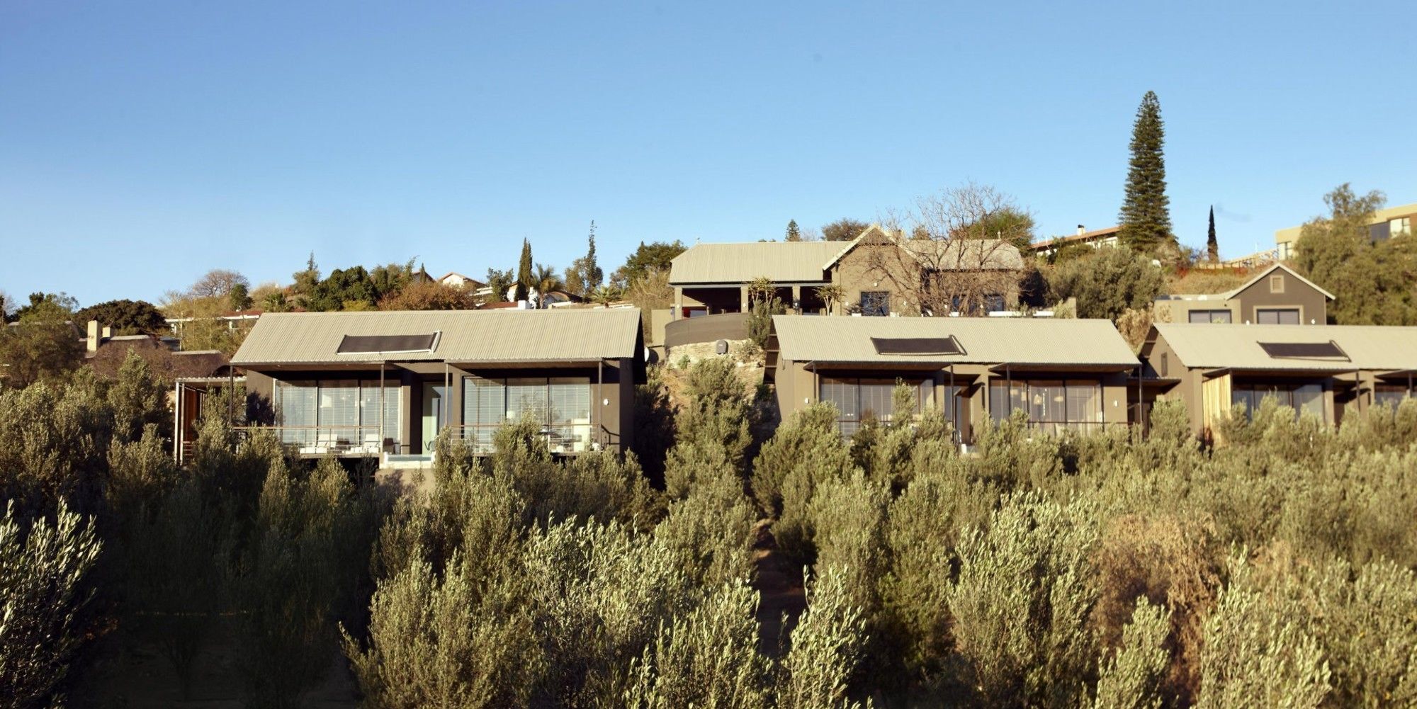 The Olive Exclusive All-Suite Hotel Windhoek Buitenkant foto